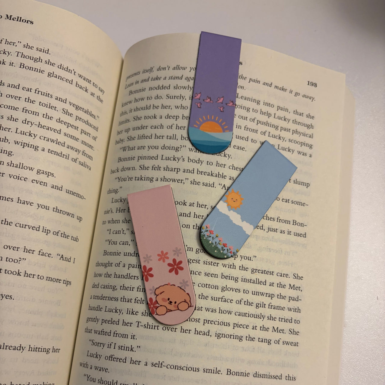 Magnetic Bookmark Set