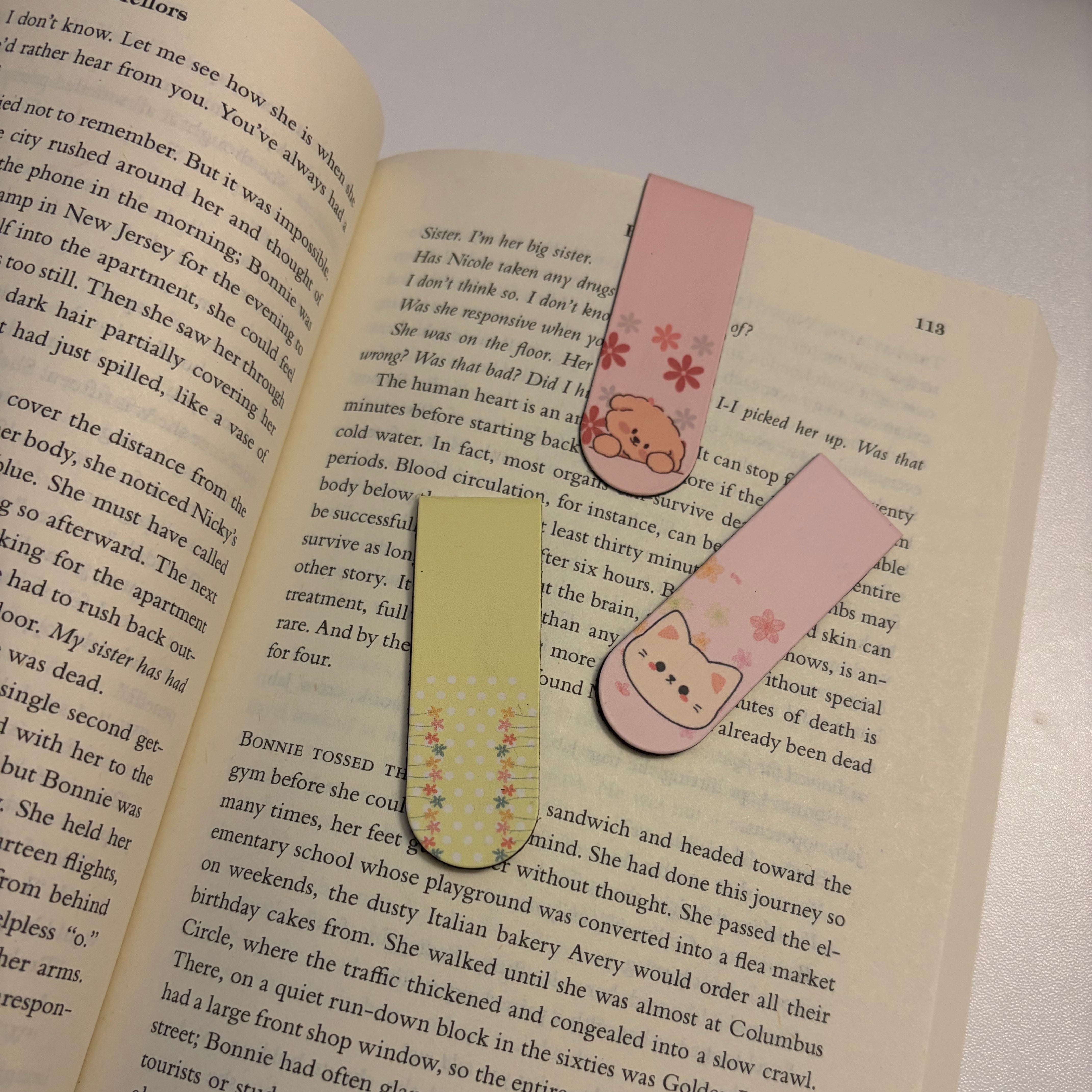Magnetic Bookmark Set